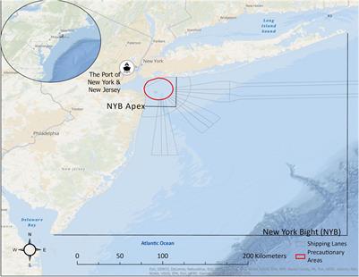 A Preliminary Study on Humpback Whales Lunge Feeding in the New York Bight, United States